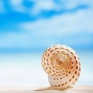 Meet your Posher, Gabriela